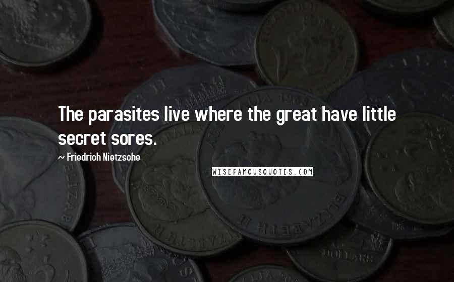 Friedrich Nietzsche Quotes: The parasites live where the great have little secret sores.