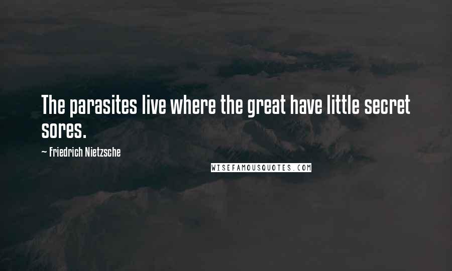 Friedrich Nietzsche Quotes: The parasites live where the great have little secret sores.