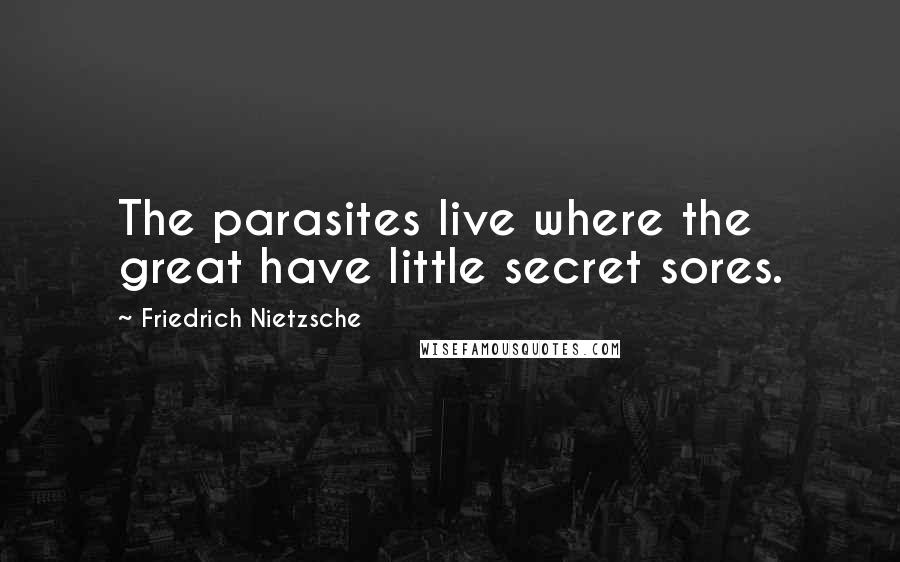 Friedrich Nietzsche Quotes: The parasites live where the great have little secret sores.