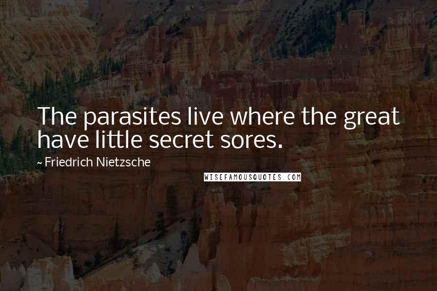 Friedrich Nietzsche Quotes: The parasites live where the great have little secret sores.