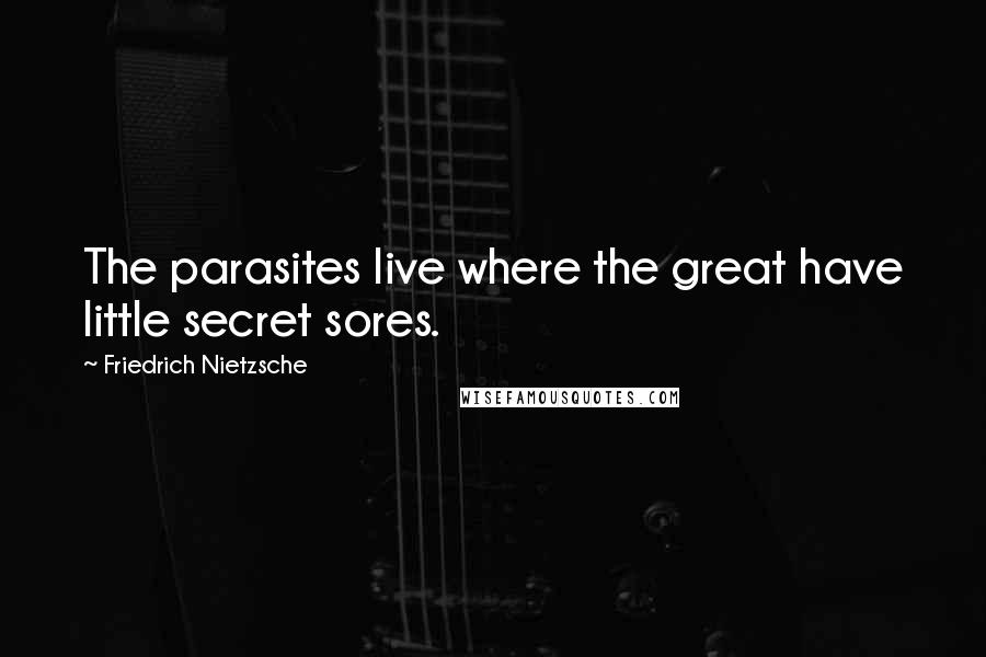 Friedrich Nietzsche Quotes: The parasites live where the great have little secret sores.