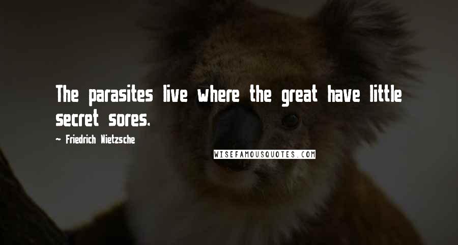 Friedrich Nietzsche Quotes: The parasites live where the great have little secret sores.