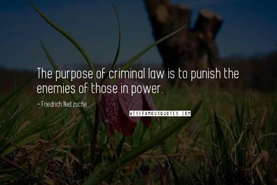 Friedrich Nietzsche Quotes: The purpose of criminal law is to punish the enemies of those in power.