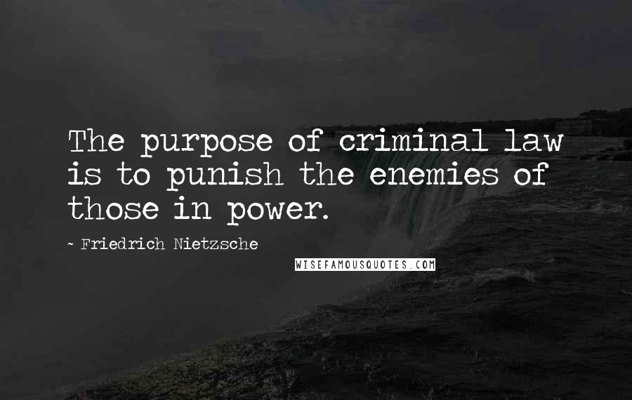 Friedrich Nietzsche Quotes: The purpose of criminal law is to punish the enemies of those in power.