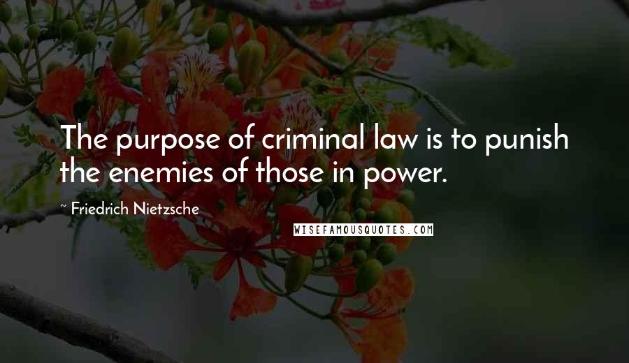Friedrich Nietzsche Quotes: The purpose of criminal law is to punish the enemies of those in power.