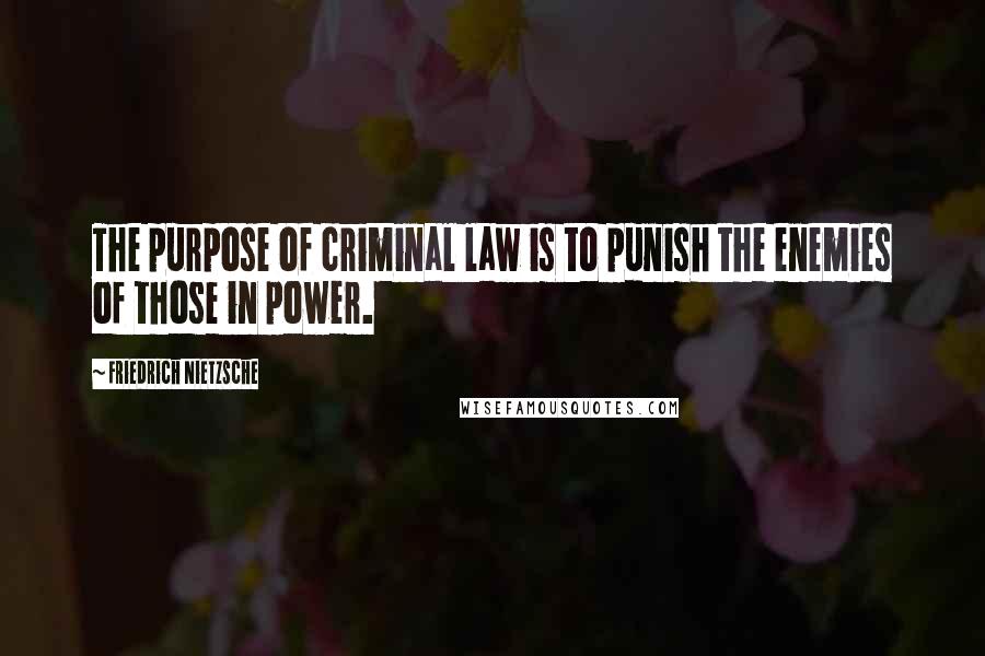 Friedrich Nietzsche Quotes: The purpose of criminal law is to punish the enemies of those in power.