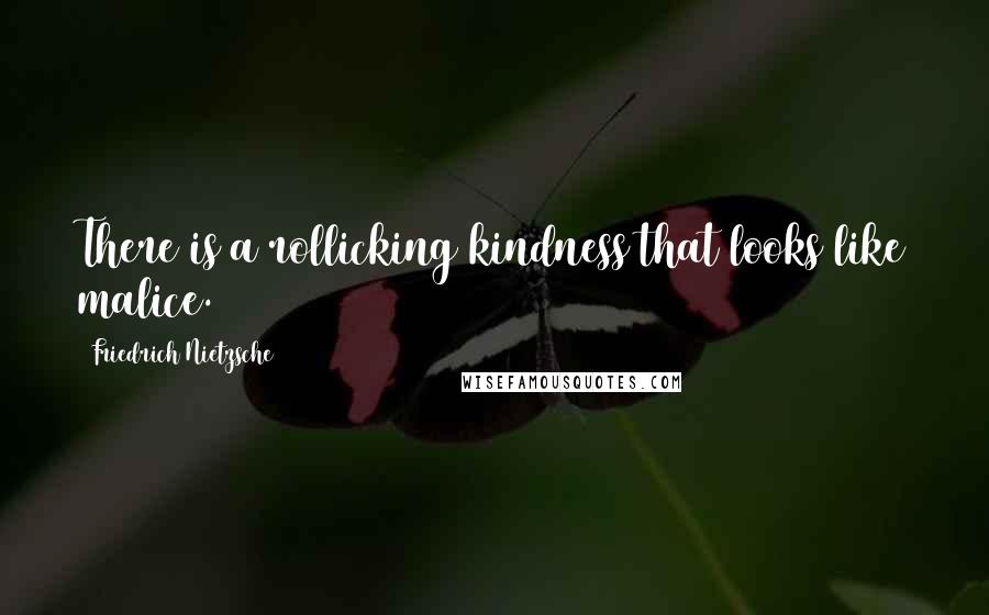 Friedrich Nietzsche Quotes: There is a rollicking kindness that looks like malice.