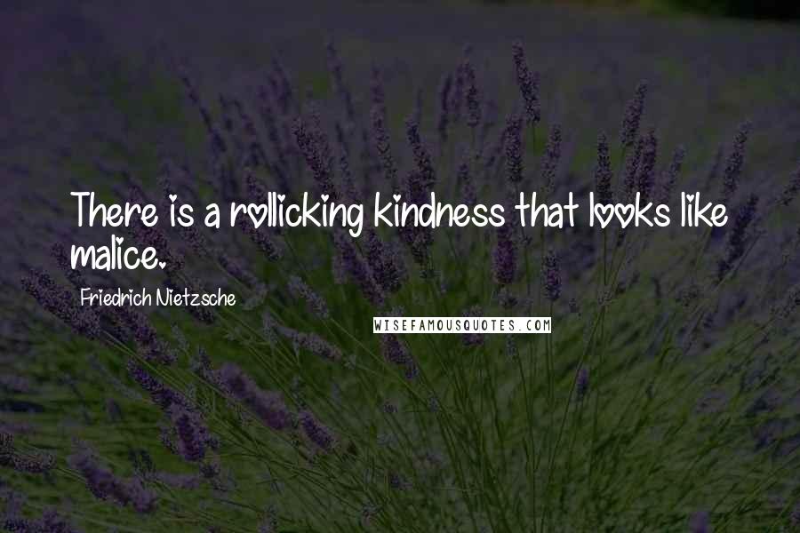 Friedrich Nietzsche Quotes: There is a rollicking kindness that looks like malice.