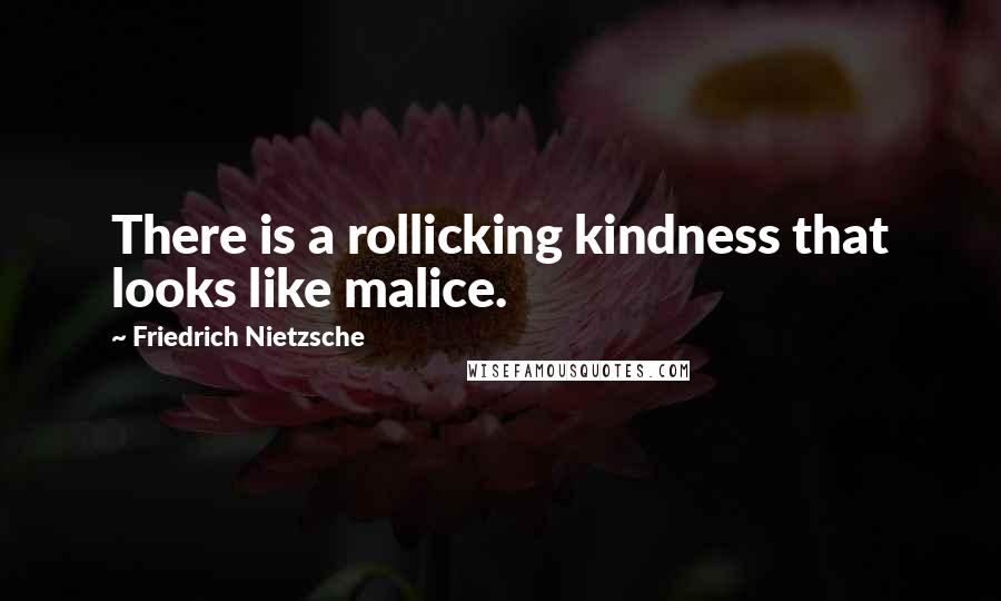 Friedrich Nietzsche Quotes: There is a rollicking kindness that looks like malice.