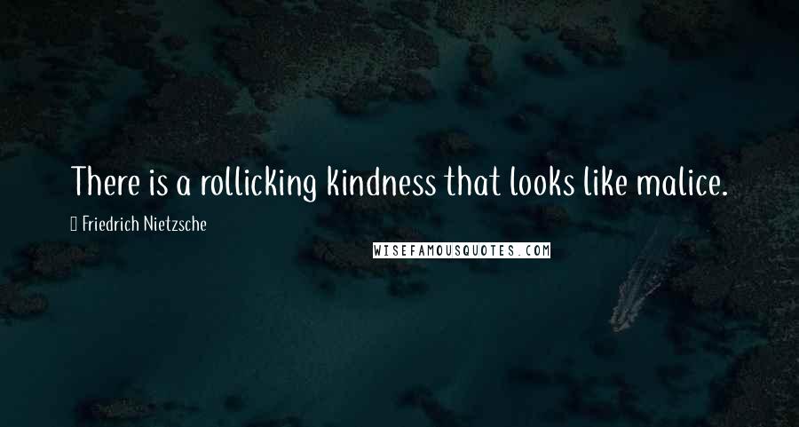 Friedrich Nietzsche Quotes: There is a rollicking kindness that looks like malice.