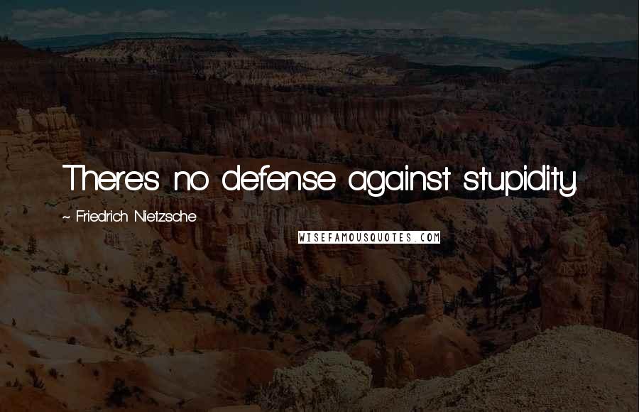 Friedrich Nietzsche Quotes: There's no defense against stupidity.