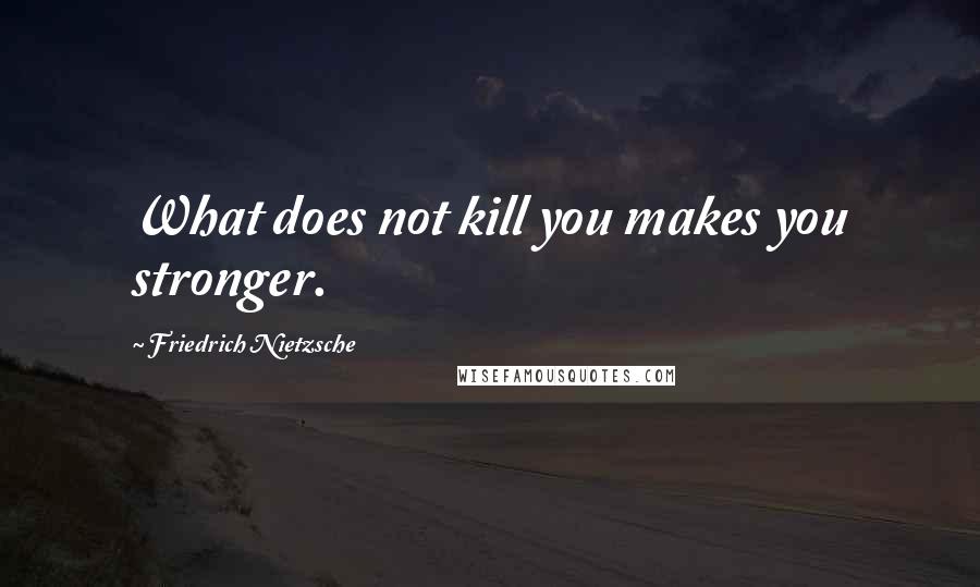 Friedrich Nietzsche Quotes: What does not kill you makes you stronger.