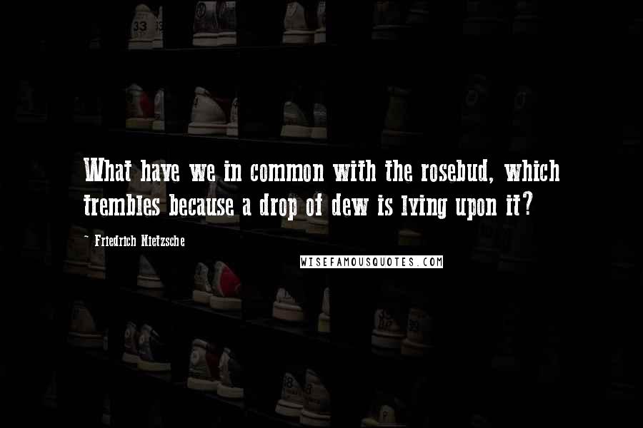 Friedrich Nietzsche Quotes: What have we in common with the rosebud, which trembles because a drop of dew is lying upon it?