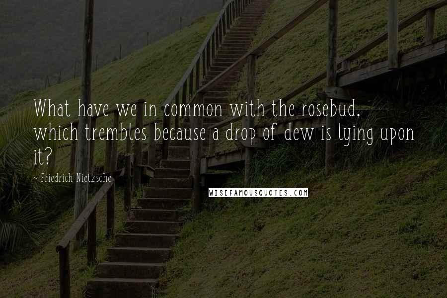 Friedrich Nietzsche Quotes: What have we in common with the rosebud, which trembles because a drop of dew is lying upon it?