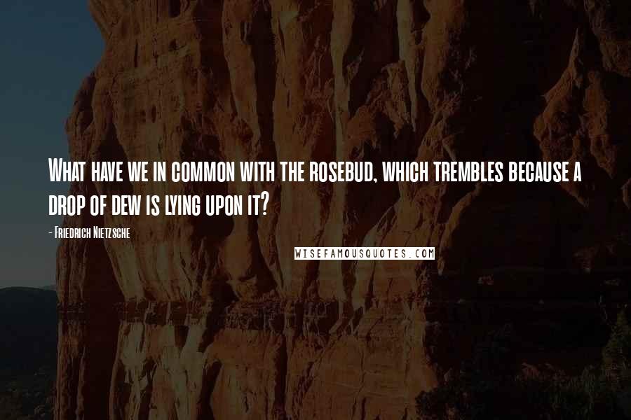 Friedrich Nietzsche Quotes: What have we in common with the rosebud, which trembles because a drop of dew is lying upon it?