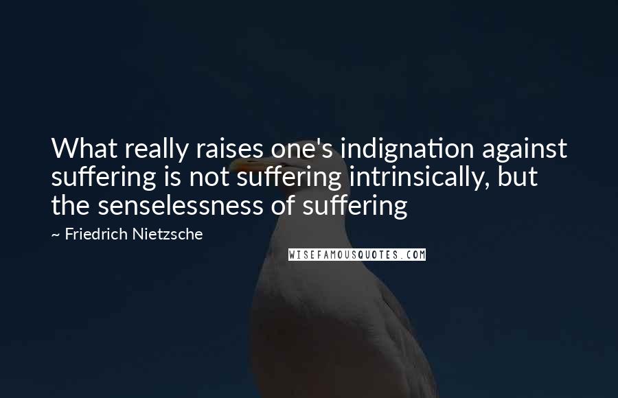 Friedrich Nietzsche Quotes: What really raises one's indignation against suffering is not suffering intrinsically, but the senselessness of suffering