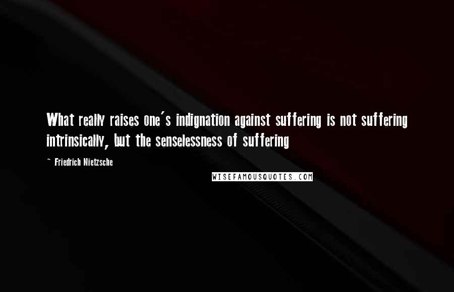 Friedrich Nietzsche Quotes: What really raises one's indignation against suffering is not suffering intrinsically, but the senselessness of suffering