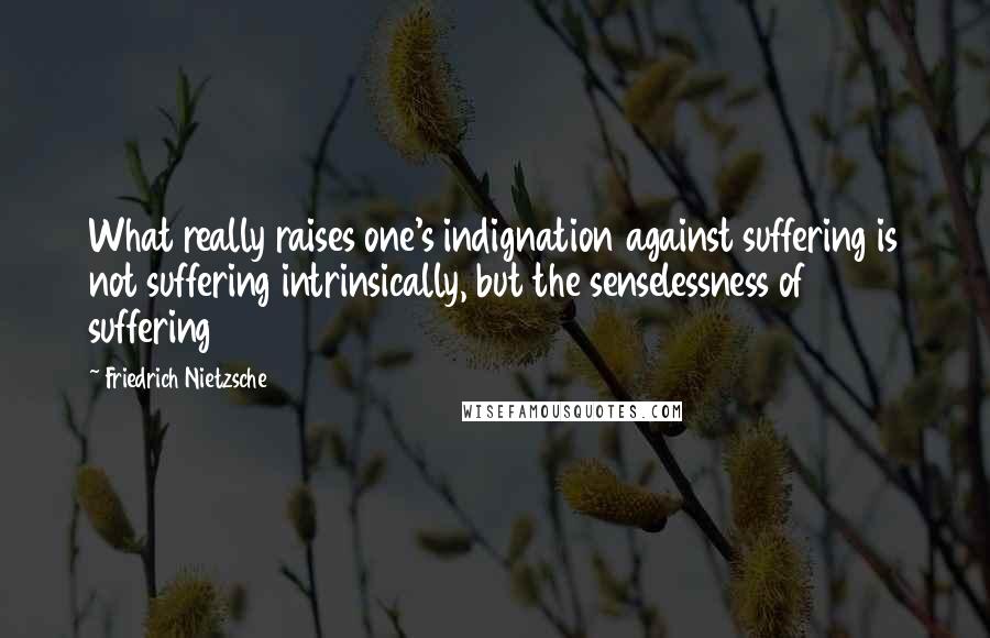 Friedrich Nietzsche Quotes: What really raises one's indignation against suffering is not suffering intrinsically, but the senselessness of suffering