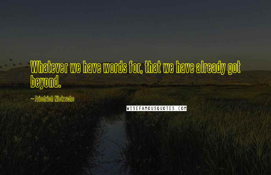 Friedrich Nietzsche Quotes: Whatever we have words for, that we have already got beyond.