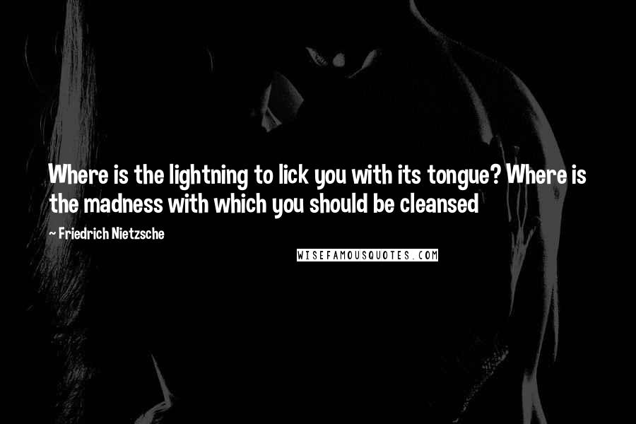 Friedrich Nietzsche Quotes: Where is the lightning to lick you with its tongue? Where is the madness with which you should be cleansed