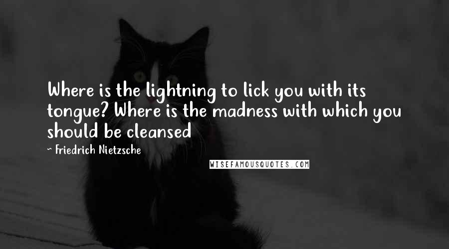 Friedrich Nietzsche Quotes: Where is the lightning to lick you with its tongue? Where is the madness with which you should be cleansed