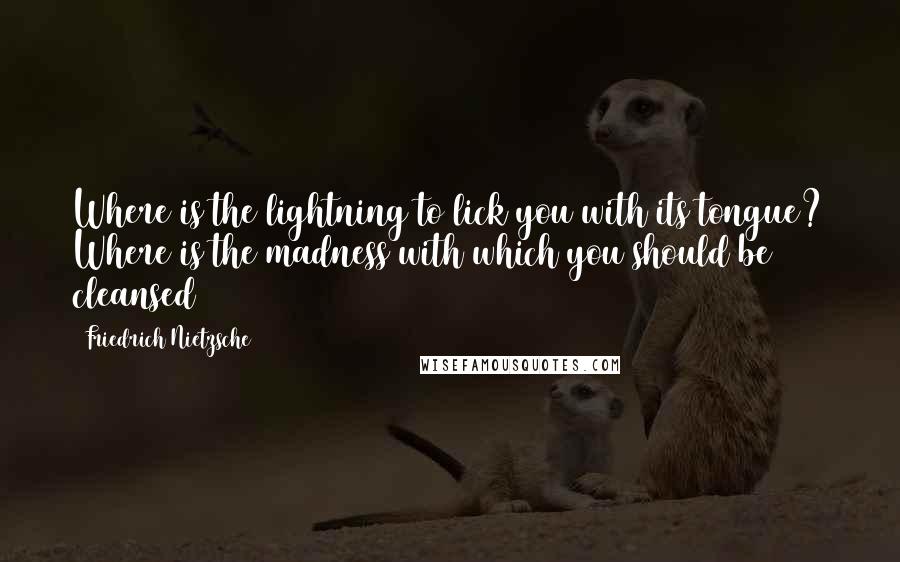 Friedrich Nietzsche Quotes: Where is the lightning to lick you with its tongue? Where is the madness with which you should be cleansed