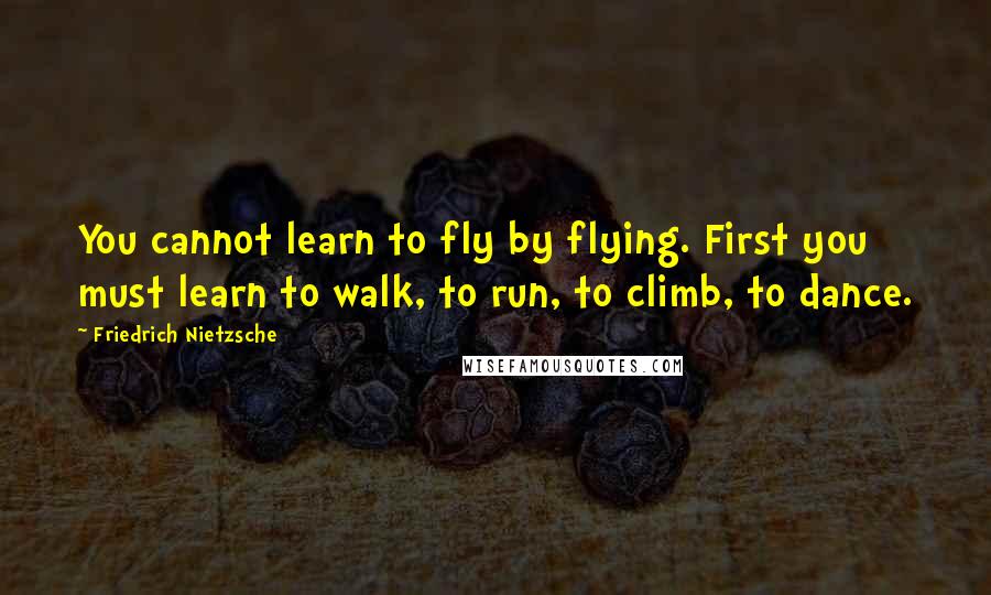 Friedrich Nietzsche Quotes: You cannot learn to fly by flying. First you must learn to walk, to run, to climb, to dance.