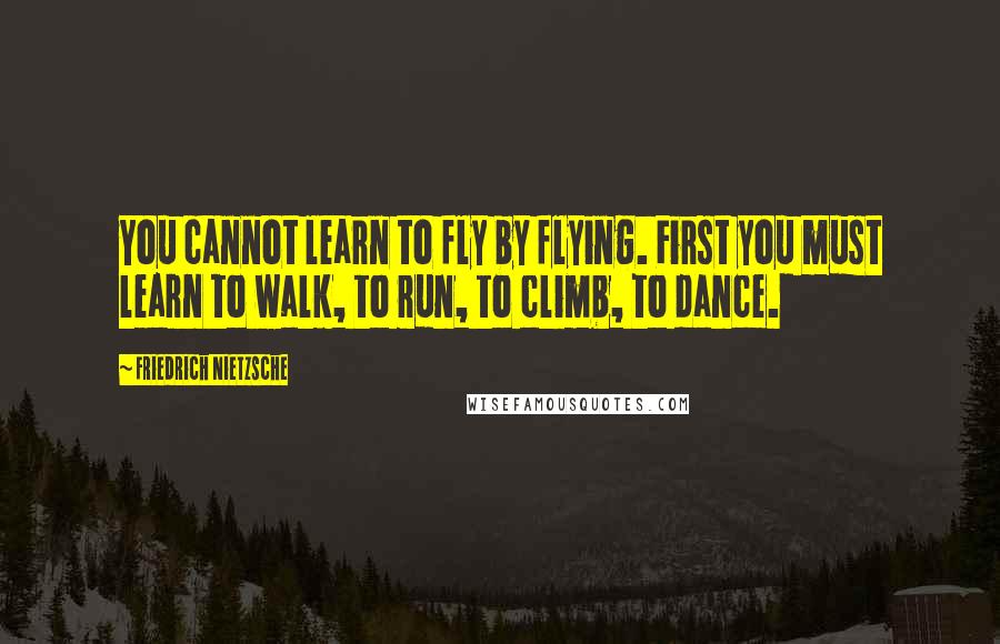 Friedrich Nietzsche Quotes: You cannot learn to fly by flying. First you must learn to walk, to run, to climb, to dance.