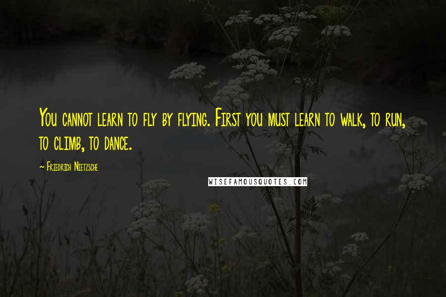 Friedrich Nietzsche Quotes: You cannot learn to fly by flying. First you must learn to walk, to run, to climb, to dance.