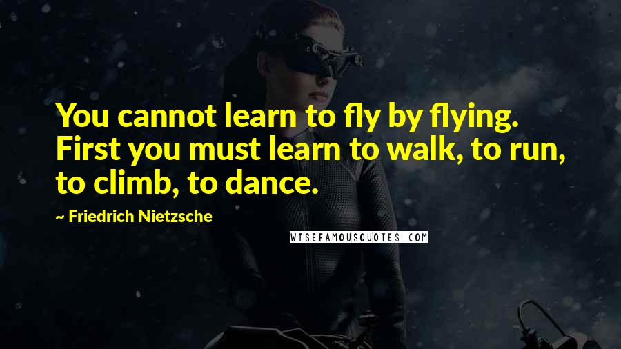 Friedrich Nietzsche Quotes: You cannot learn to fly by flying. First you must learn to walk, to run, to climb, to dance.