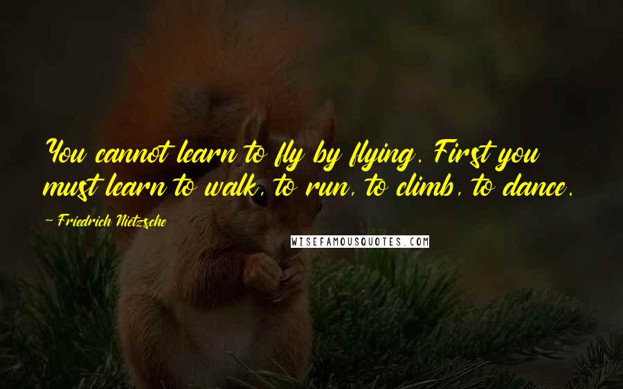 Friedrich Nietzsche Quotes: You cannot learn to fly by flying. First you must learn to walk, to run, to climb, to dance.