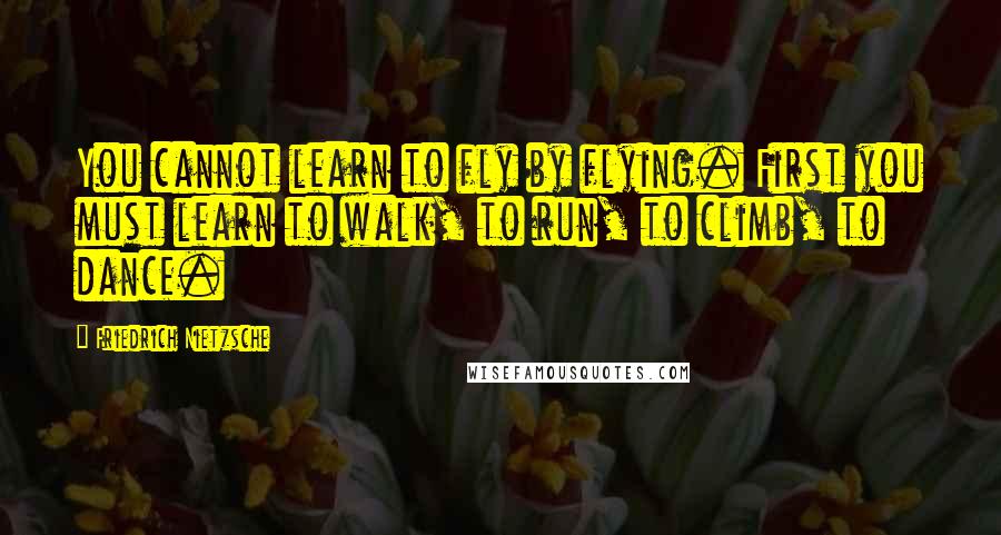 Friedrich Nietzsche Quotes: You cannot learn to fly by flying. First you must learn to walk, to run, to climb, to dance.