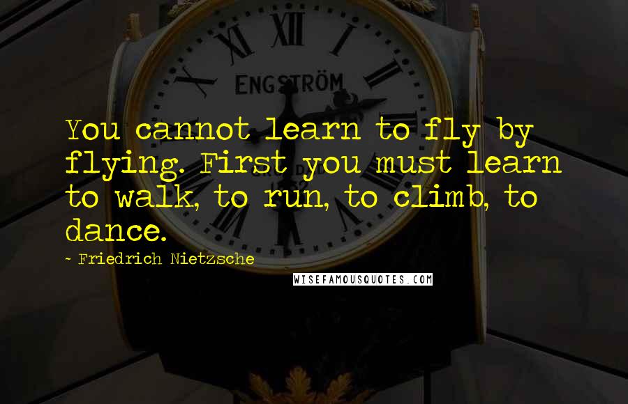 Friedrich Nietzsche Quotes: You cannot learn to fly by flying. First you must learn to walk, to run, to climb, to dance.