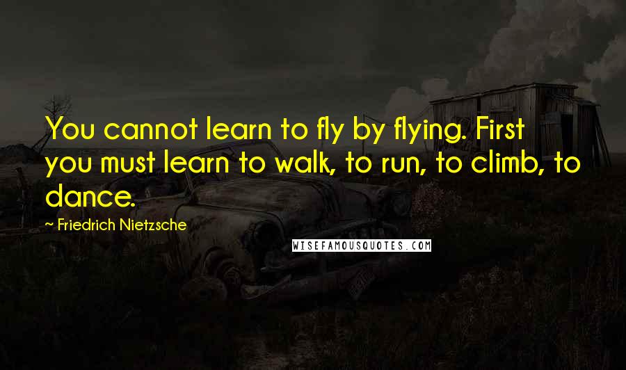 Friedrich Nietzsche Quotes: You cannot learn to fly by flying. First you must learn to walk, to run, to climb, to dance.