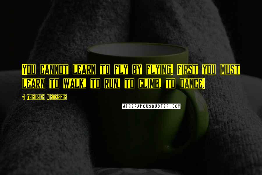 Friedrich Nietzsche Quotes: You cannot learn to fly by flying. First you must learn to walk, to run, to climb, to dance.