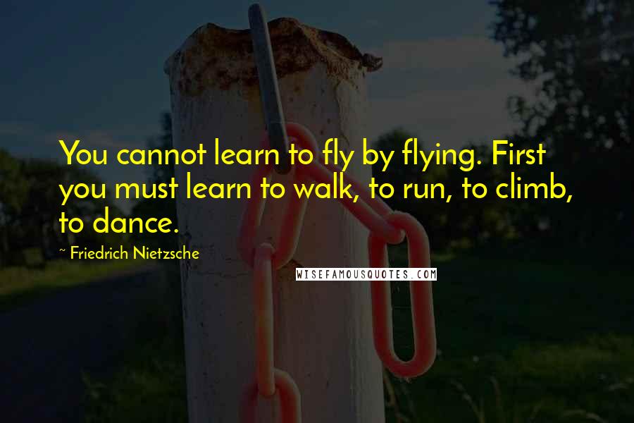 Friedrich Nietzsche Quotes: You cannot learn to fly by flying. First you must learn to walk, to run, to climb, to dance.