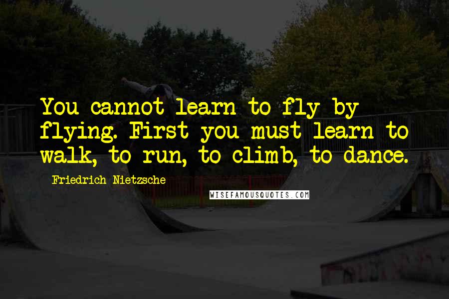 Friedrich Nietzsche Quotes: You cannot learn to fly by flying. First you must learn to walk, to run, to climb, to dance.