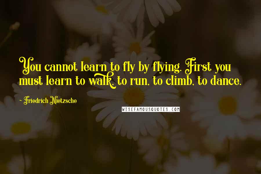 Friedrich Nietzsche Quotes: You cannot learn to fly by flying. First you must learn to walk, to run, to climb, to dance.