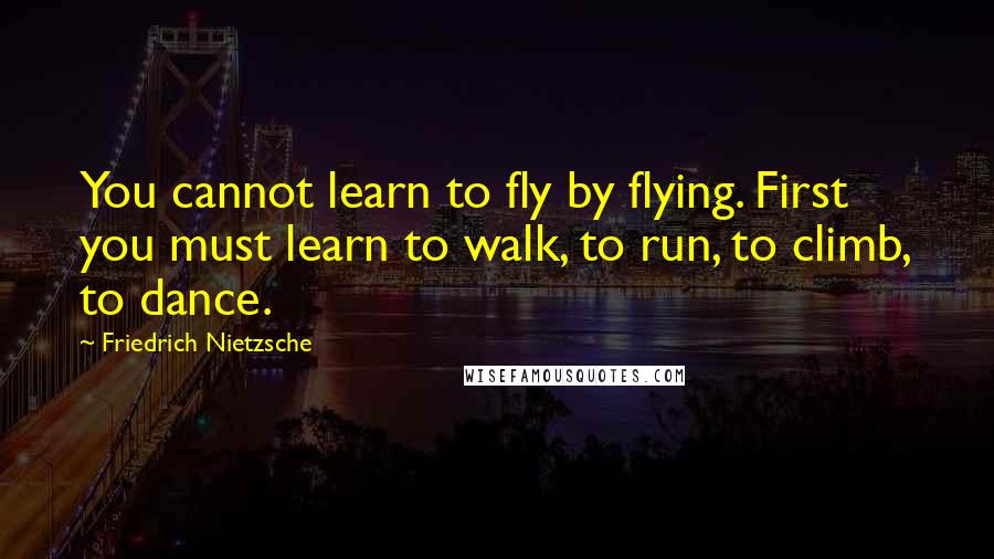 Friedrich Nietzsche Quotes: You cannot learn to fly by flying. First you must learn to walk, to run, to climb, to dance.