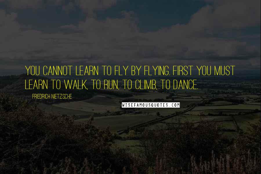 Friedrich Nietzsche Quotes: You cannot learn to fly by flying. First you must learn to walk, to run, to climb, to dance.