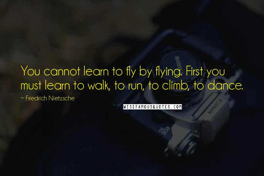 Friedrich Nietzsche Quotes: You cannot learn to fly by flying. First you must learn to walk, to run, to climb, to dance.