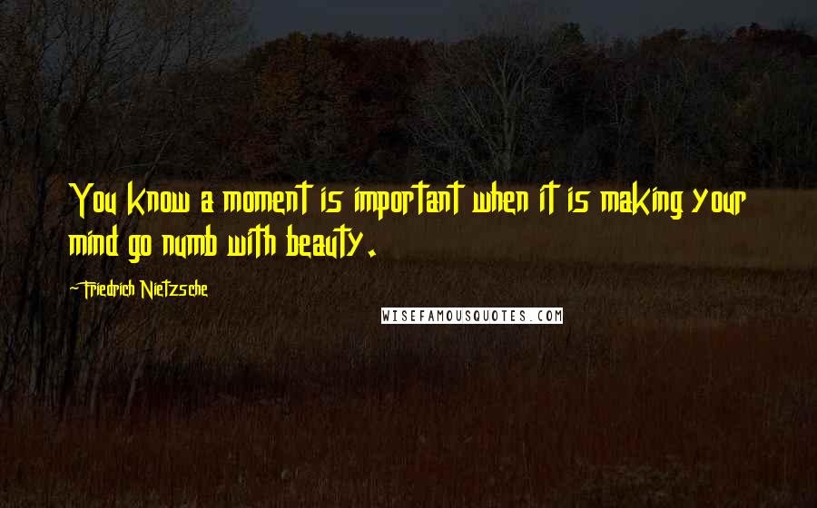 Friedrich Nietzsche Quotes: You know a moment is important when it is making your mind go numb with beauty.