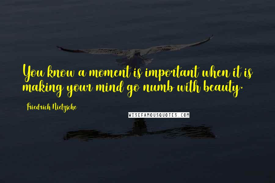 Friedrich Nietzsche Quotes: You know a moment is important when it is making your mind go numb with beauty.