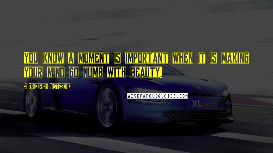 Friedrich Nietzsche Quotes: You know a moment is important when it is making your mind go numb with beauty.