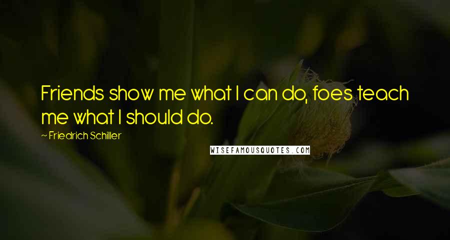 Friedrich Schiller Quotes: Friends show me what I can do, foes teach me what I should do.