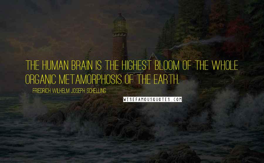 Friedrich Wilhelm Joseph Schelling Quotes: The human brain is the highest bloom of the whole organic metamorphosis of the earth.