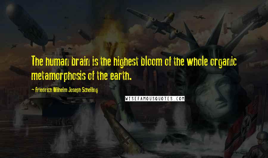 Friedrich Wilhelm Joseph Schelling Quotes: The human brain is the highest bloom of the whole organic metamorphosis of the earth.