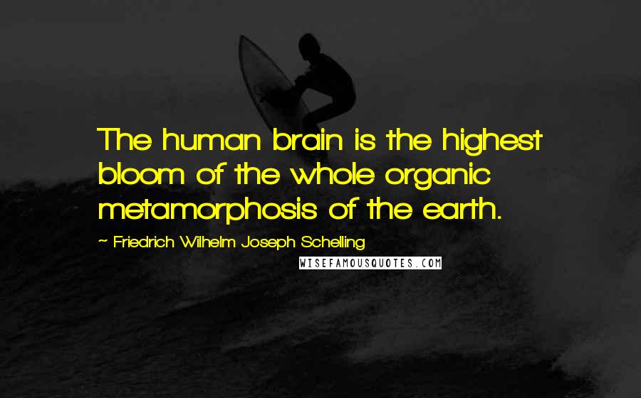 Friedrich Wilhelm Joseph Schelling Quotes: The human brain is the highest bloom of the whole organic metamorphosis of the earth.