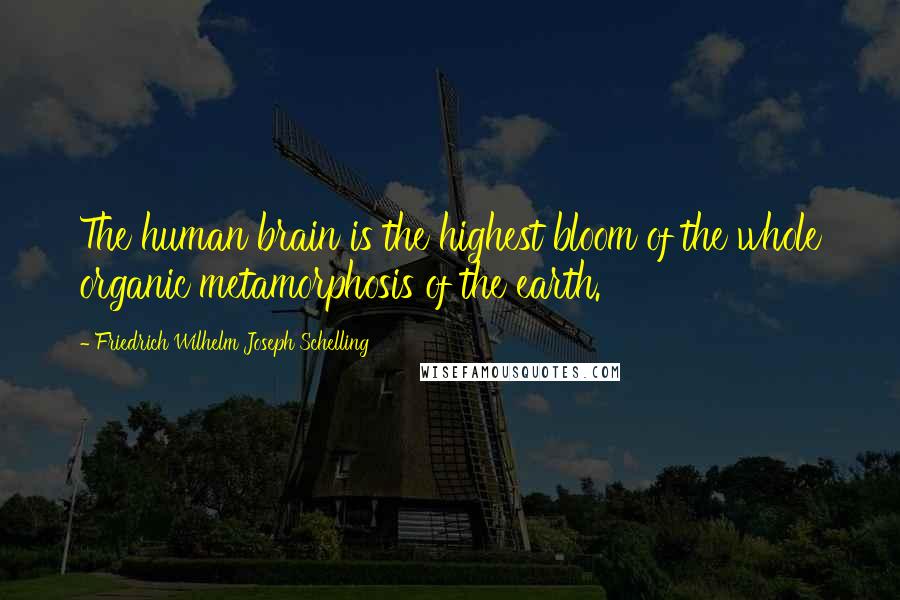 Friedrich Wilhelm Joseph Schelling Quotes: The human brain is the highest bloom of the whole organic metamorphosis of the earth.