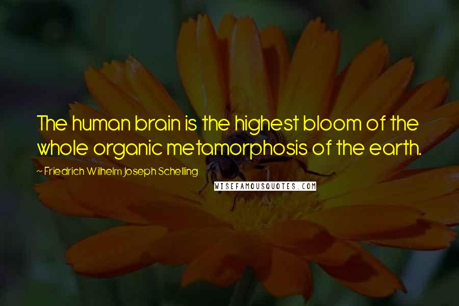 Friedrich Wilhelm Joseph Schelling Quotes: The human brain is the highest bloom of the whole organic metamorphosis of the earth.